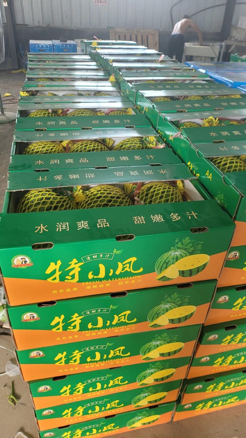 黄瓤西瓜特小凤西瓜3一6斤产地货源充足无中间商差价