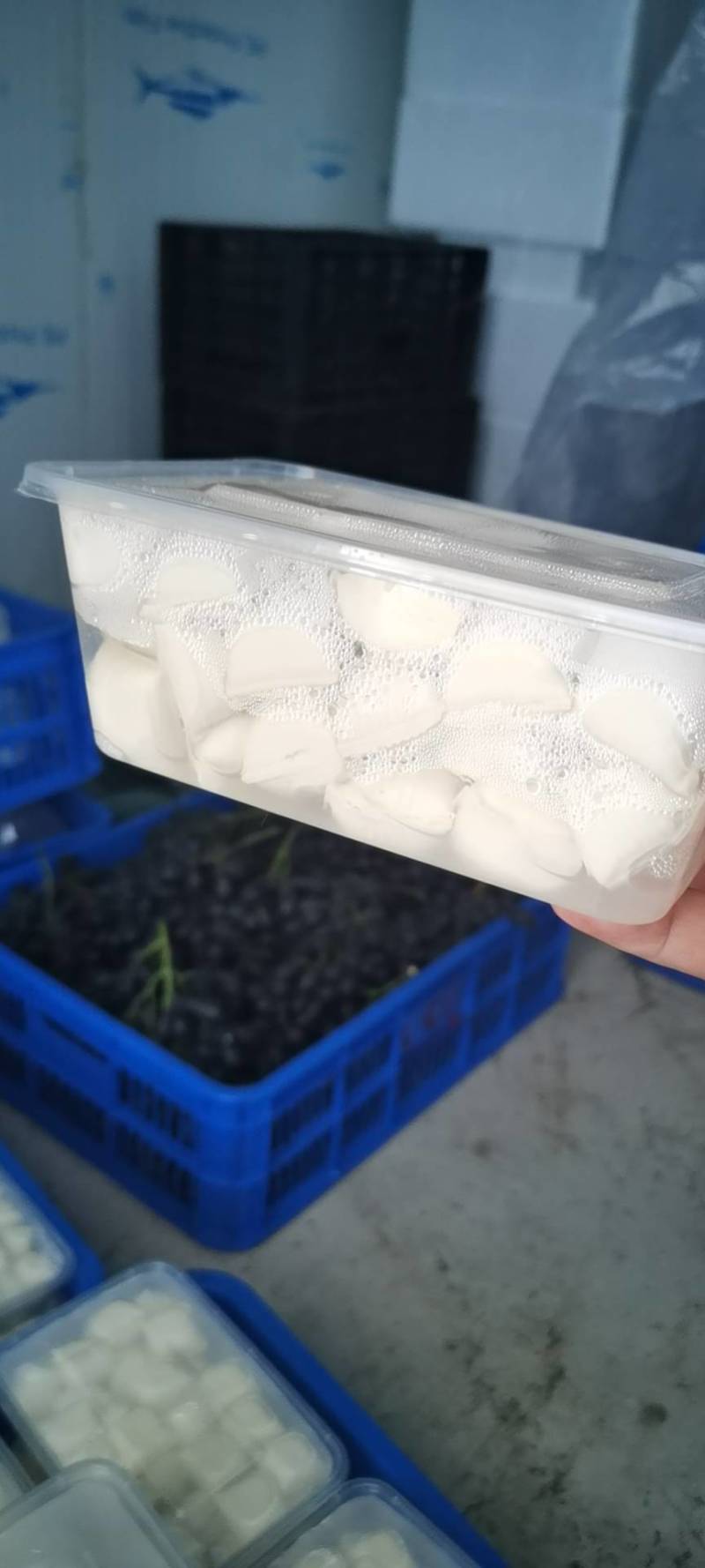 云南石屏爆浆小豆腐/一件代发/市场走货/全年供应
