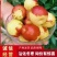 山东鲜枣沾化冬枣鲜枣基地，现摘现发，脆甜可口，对接平台