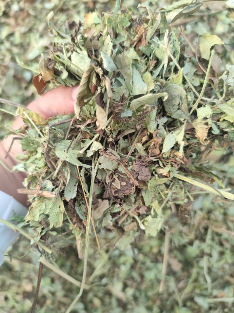 牛羊草料羊草饲料草花生秧草料花生秧草粉马驴兔鸵鸟鹅草