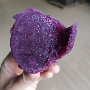 泰紫薯一号，口感香甜软糯无可代替的紫薯一手货源