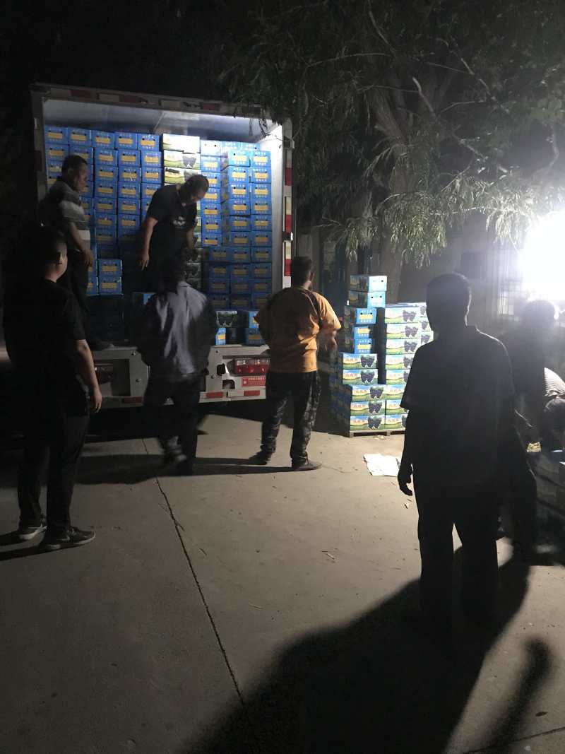茶淀玫瑰香葡萄，专业代办！实体店铺出货稳定