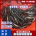 热卖《大口鲶鱼苗》产地直供包运输下塘提供技术货到付款