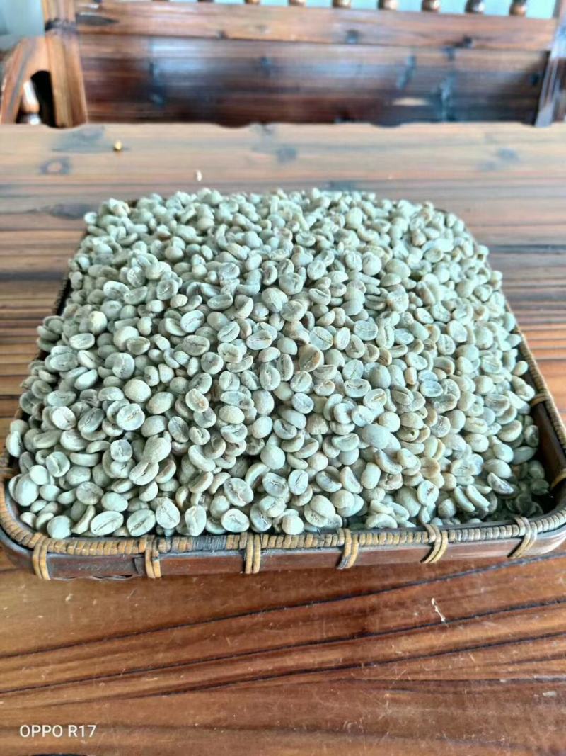 云南普洱小粒咖啡