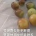 山东鲜枣，无棣冬枣，诚信服务代发全国对接电商，社团