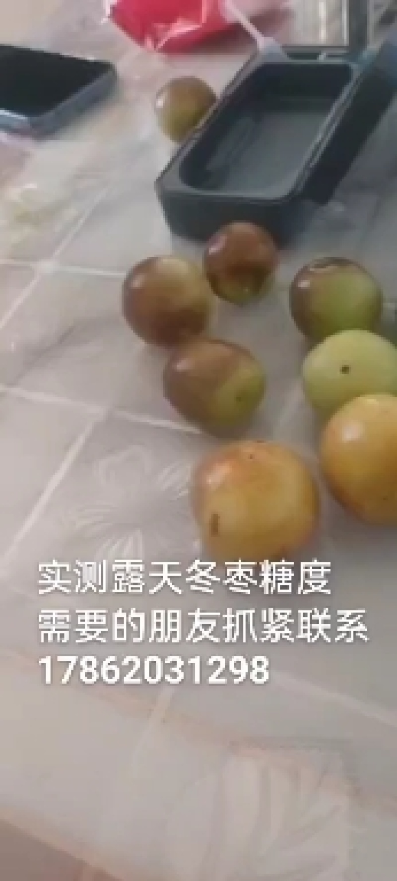 山东鲜枣，无棣冬枣，诚信服务代发全国对接电商，社团