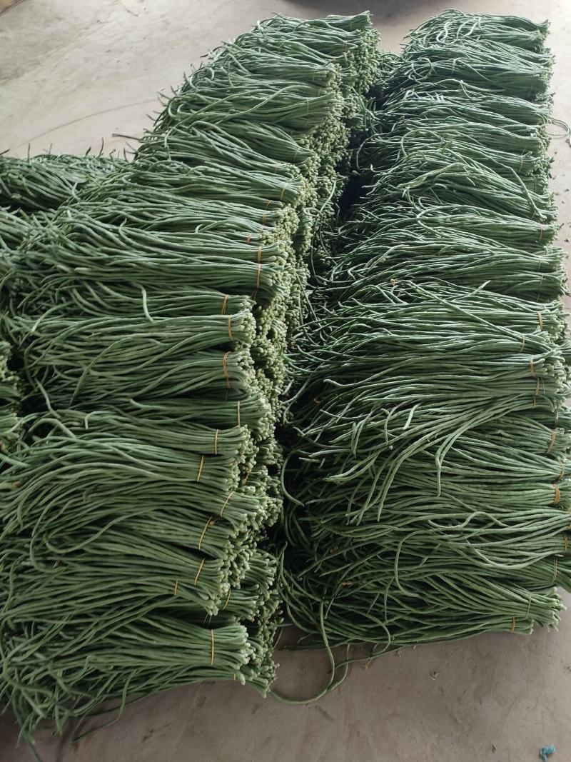 长豆角，现摘现发，一手货源，可实地考察看货，提供泡水打冷