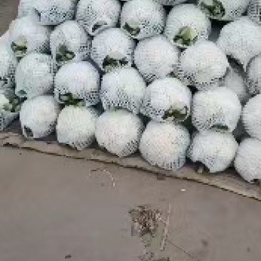 实花，有机散花大量上市，需要的老板欢迎电联