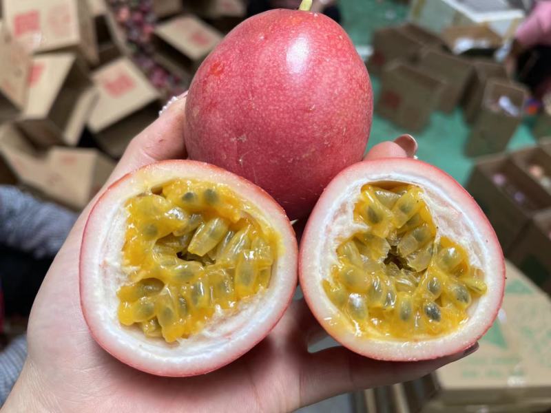 云南版纳百香果一件代发，社区团购，落地配，直播daig