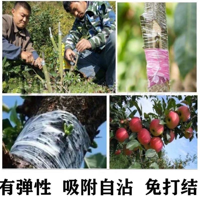 可折叠嫁接刀嫁接果树接芽刀特种钢接木专用刀削木嫁接工具嫁