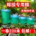 嫁接膜接树果树缠绕膜嫁接专用塑料薄膜自粘环保透明拉伸膜保