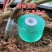 嫁接膜接树果树缠绕膜嫁接专用塑料薄膜自粘环保透明拉伸膜保