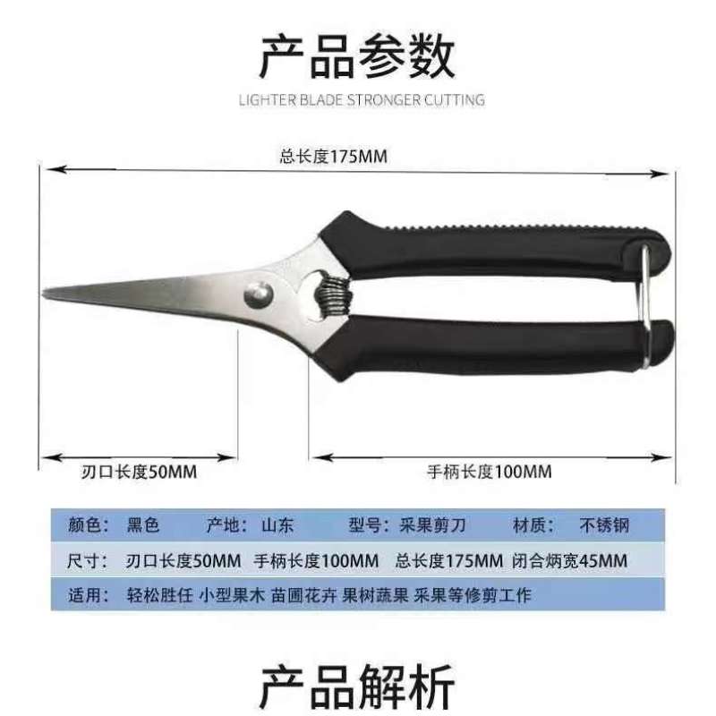德国进口钢粗枝剪刀滑轮省力修枝剪园艺修花木果树嫁接园林剪