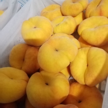 黄毛蟠大量上市，n感好特甜
