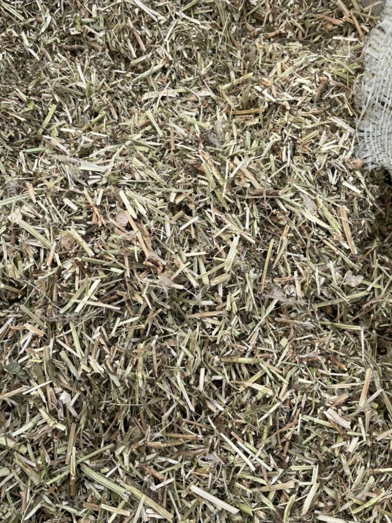 花生秧子草料饲料大量现货无土无膜无霉变价格来单详谈