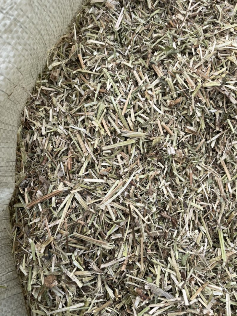 花生秧子草料饲料大量现货无土无膜无霉变价格来单详谈