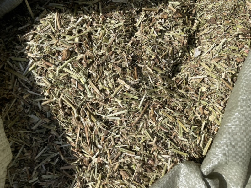 花生秧子草料饲料大量现货无土无膜无霉变价格来单详谈