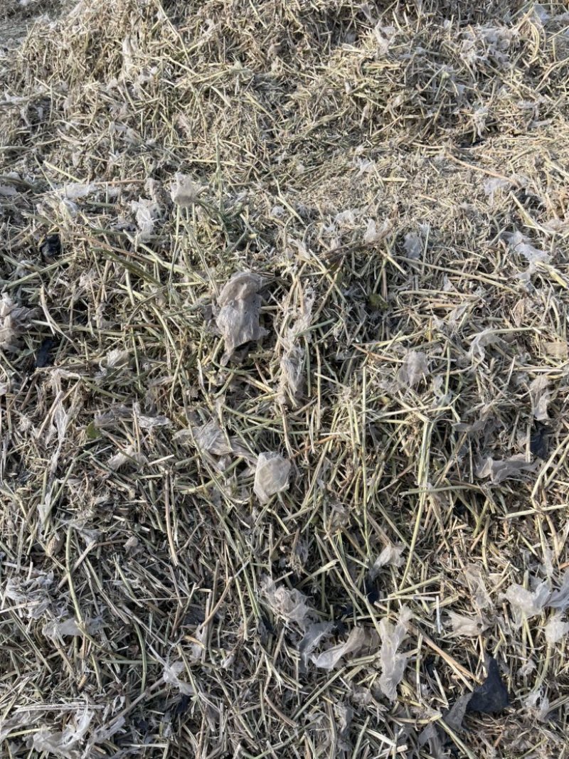 花生秧子草料饲料大量现货无土无膜无霉变价格来单详谈