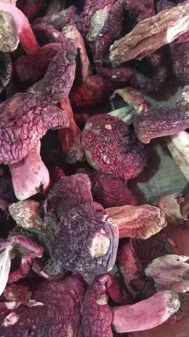 红菇中菇和菇菇丁