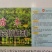植物防冻液，可用于蔬菜、果蔬、大田等作物抵御寒潮、倒春寒