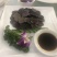 云南当季新鲜即食新鲜野生松露黑松露猪拱菌