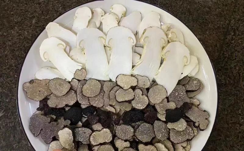 云南当季新鲜即食新鲜野生松露黑松露猪拱菌