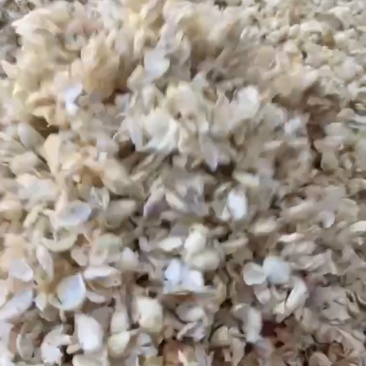发酵山楂豆皮1111111111111111111