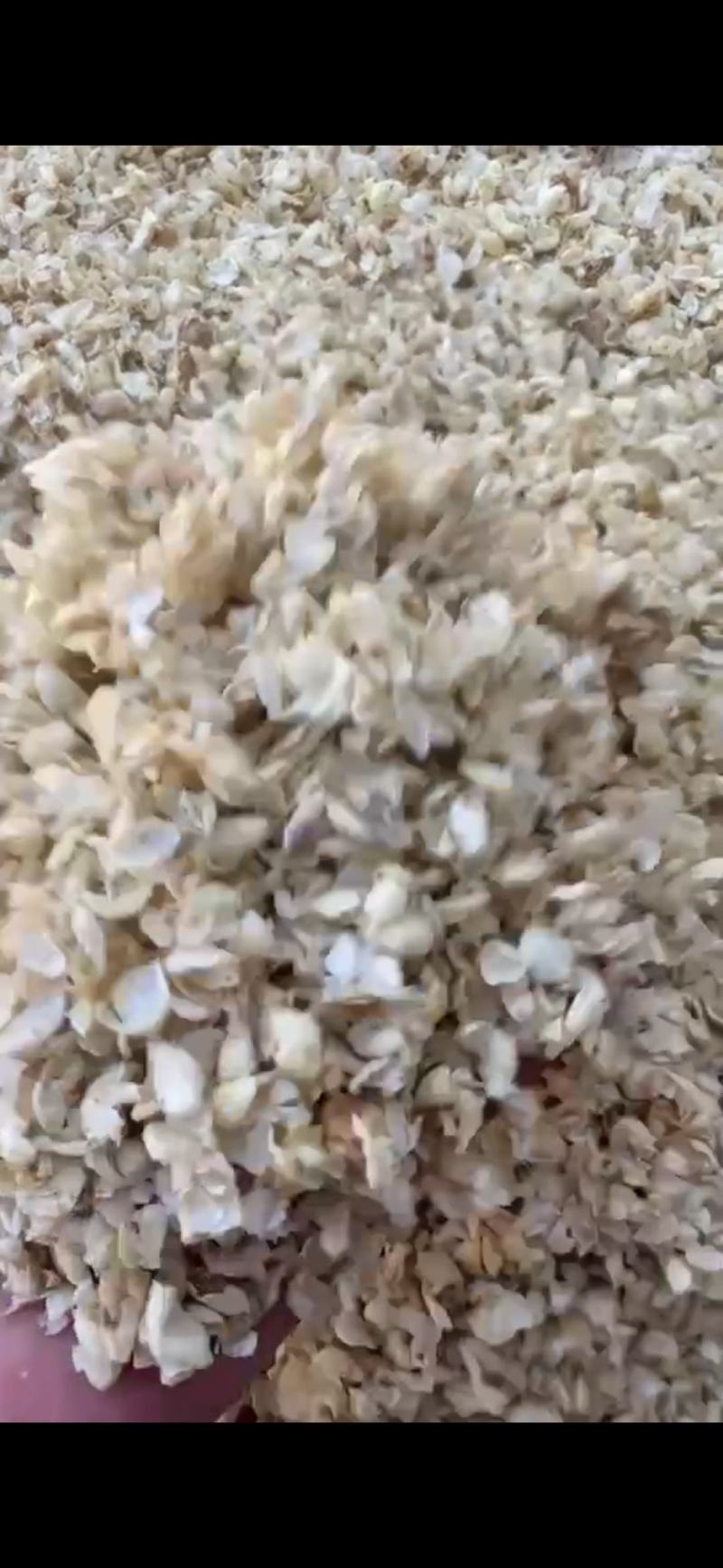 发酵山楂豆皮1111111111111111111