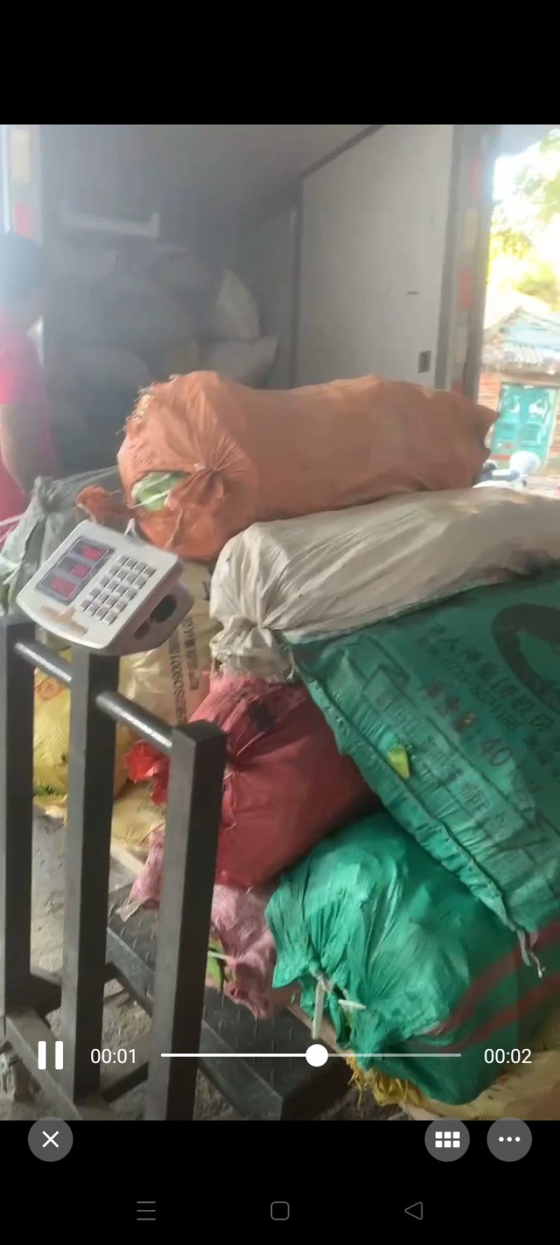 江西刀豆基地量産加工市場貨條形均勻大量有貨標準打包冷運輸