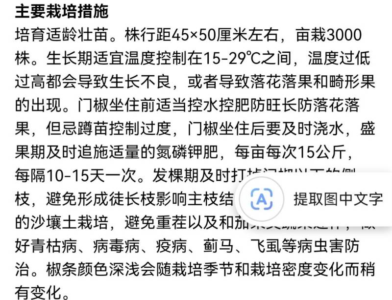 欧兰德欧育303线椒种子加长型青红两用深绿黑线辣椒种子