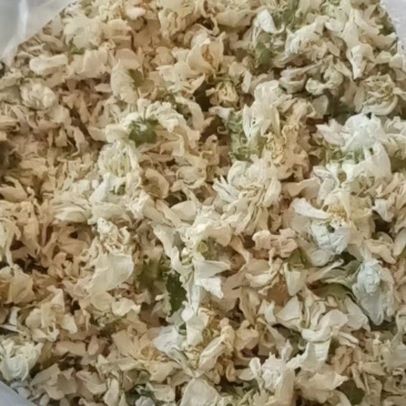 木槿花新品