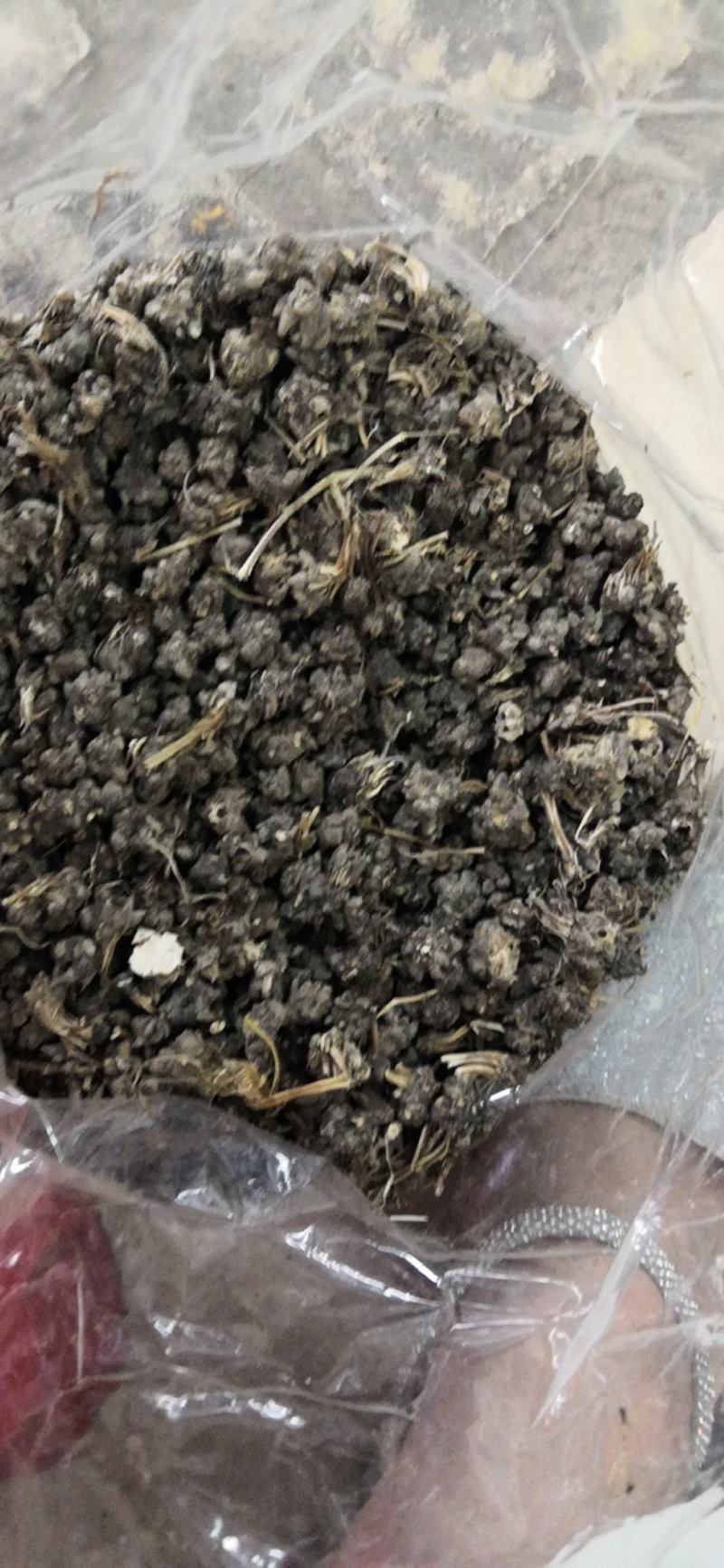安徽野生猫爪草一公斤一包新货水洗猫爪草十公斤包邮