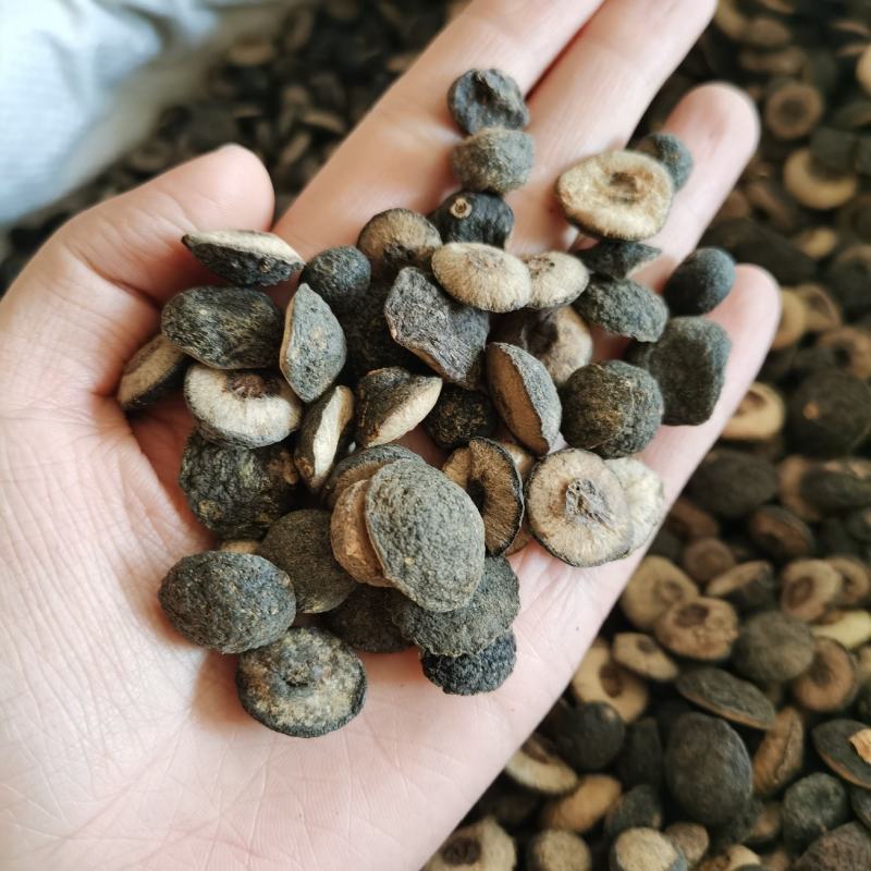 枳实枳实个产地江西实物拍摄量大从优欢迎选购