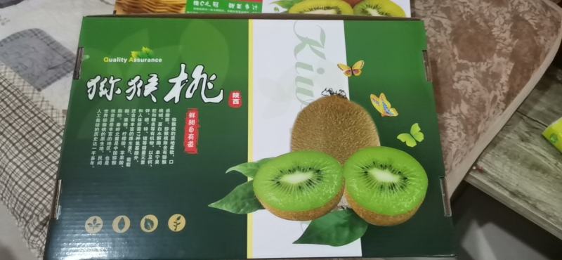 陕西周至绿心翠香猕猴桃大量上市，批发一件代发