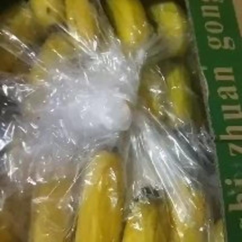 产地直达云南广西香蕉量大电商团购质量可谈