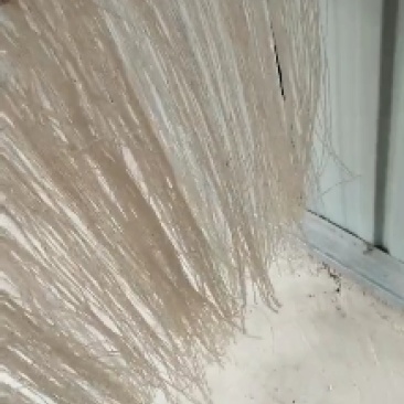 粉条