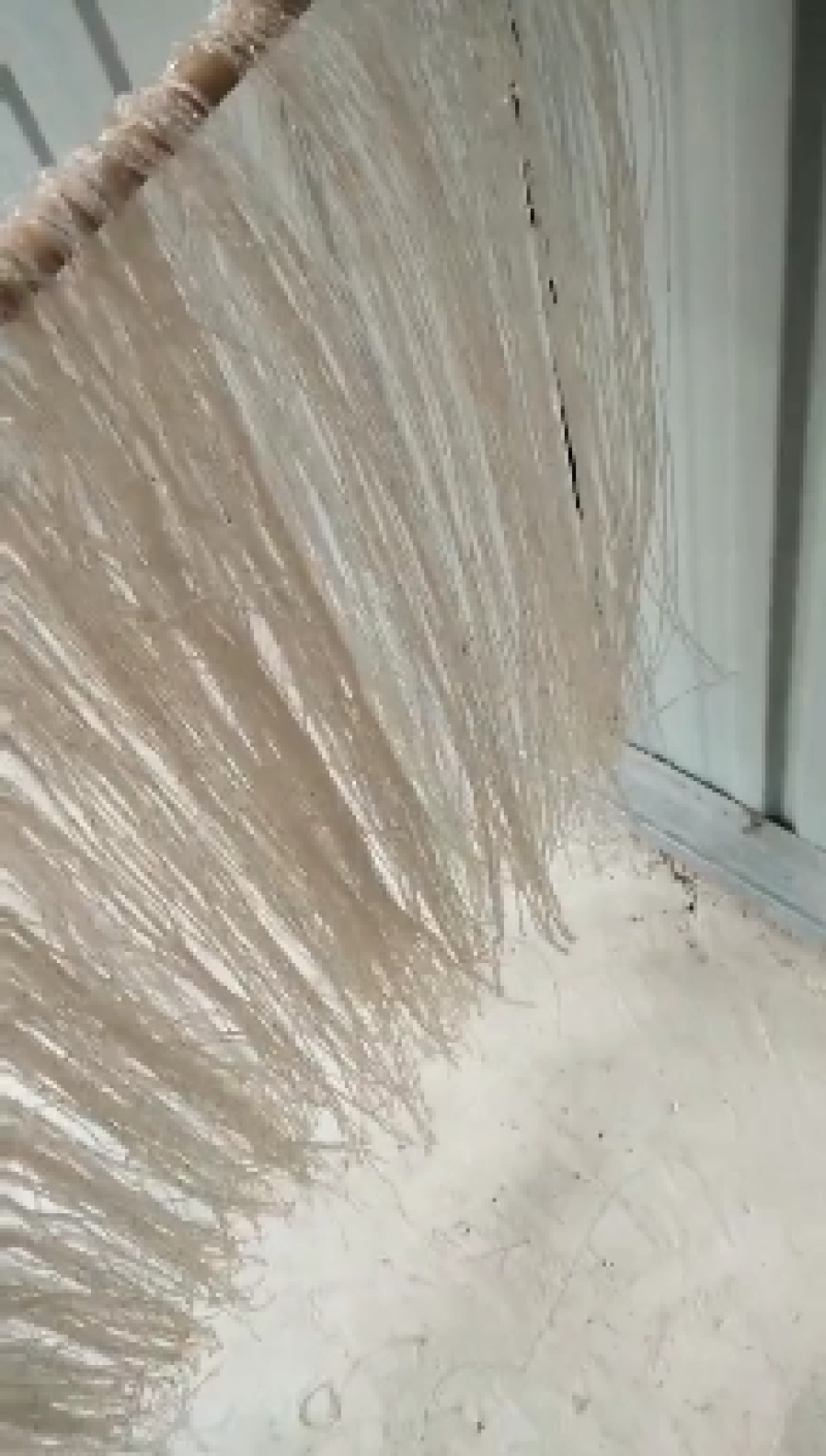 粉条