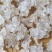 【5A雪燕】无硫拉丝雪燕500克袋装雪燕大龙须不漂白包邮
