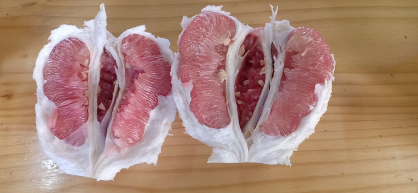 单个成熟蜜柚特写