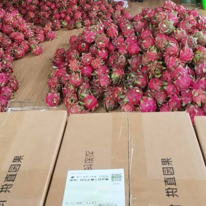 火龙果，石屏火龙果，走市场，一件代发