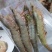 卢虾仁、麻虾仁、原汁原味2斤装、挑线不加水不包冰出厂直批