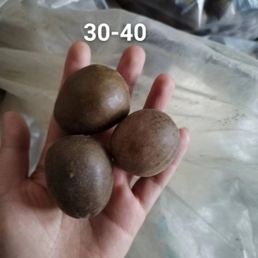 罗汉果仔仔果，地摊网红果，一斤有60个到65个，批发优惠