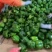 花菜菠菜油麦菜青椒茼蒿香葱等等