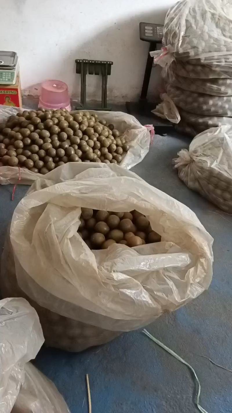 罗汉果仔仔果，地摊网红果，一斤有60个到65个，批发优惠