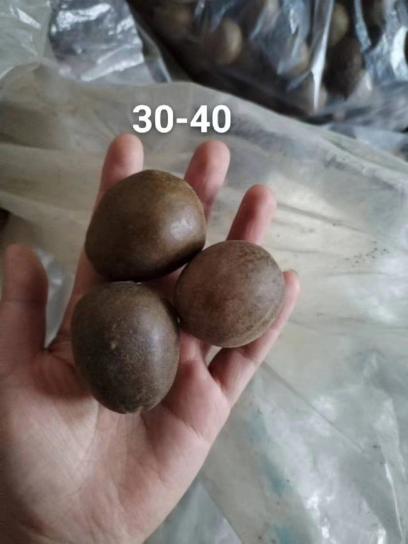 罗汉果仔仔果，地摊网红果，一斤有60个到65个，批发优惠