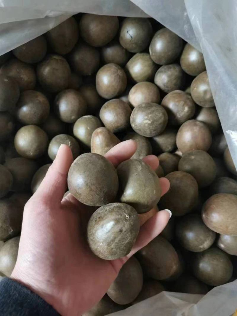 罗汉果仔仔果，地摊网红果，一斤有60个到65个，批发优惠
