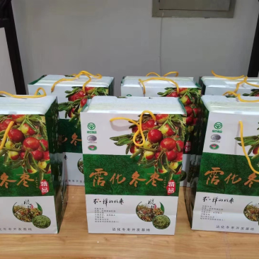 正宗沾化冬枣，自家果园，现摘现发，一件代发，批发