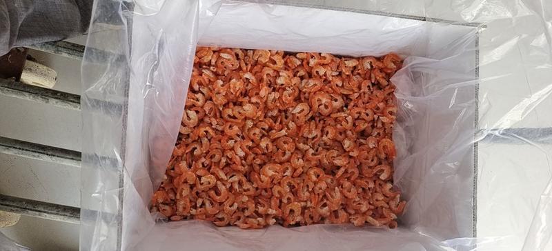 辉隆辉水产品有限公司专业加工各种优质原干海米