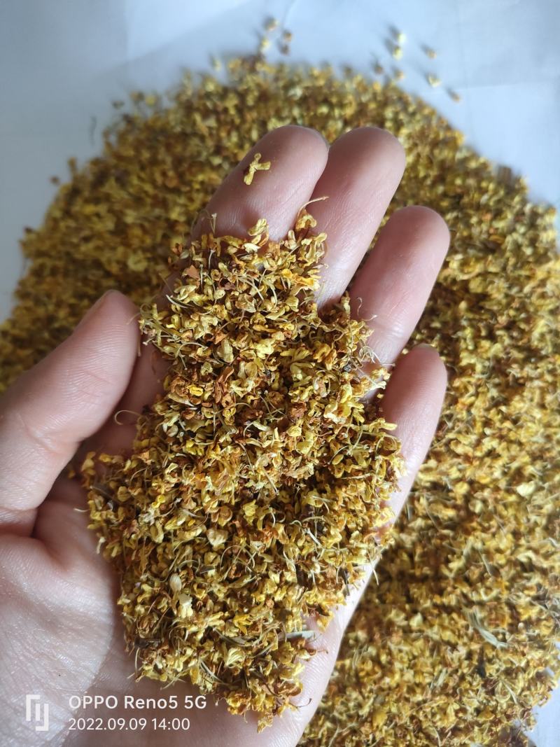 （热销）桂花干桂花花茶祥泰药材栈地道药材严于品质欢迎