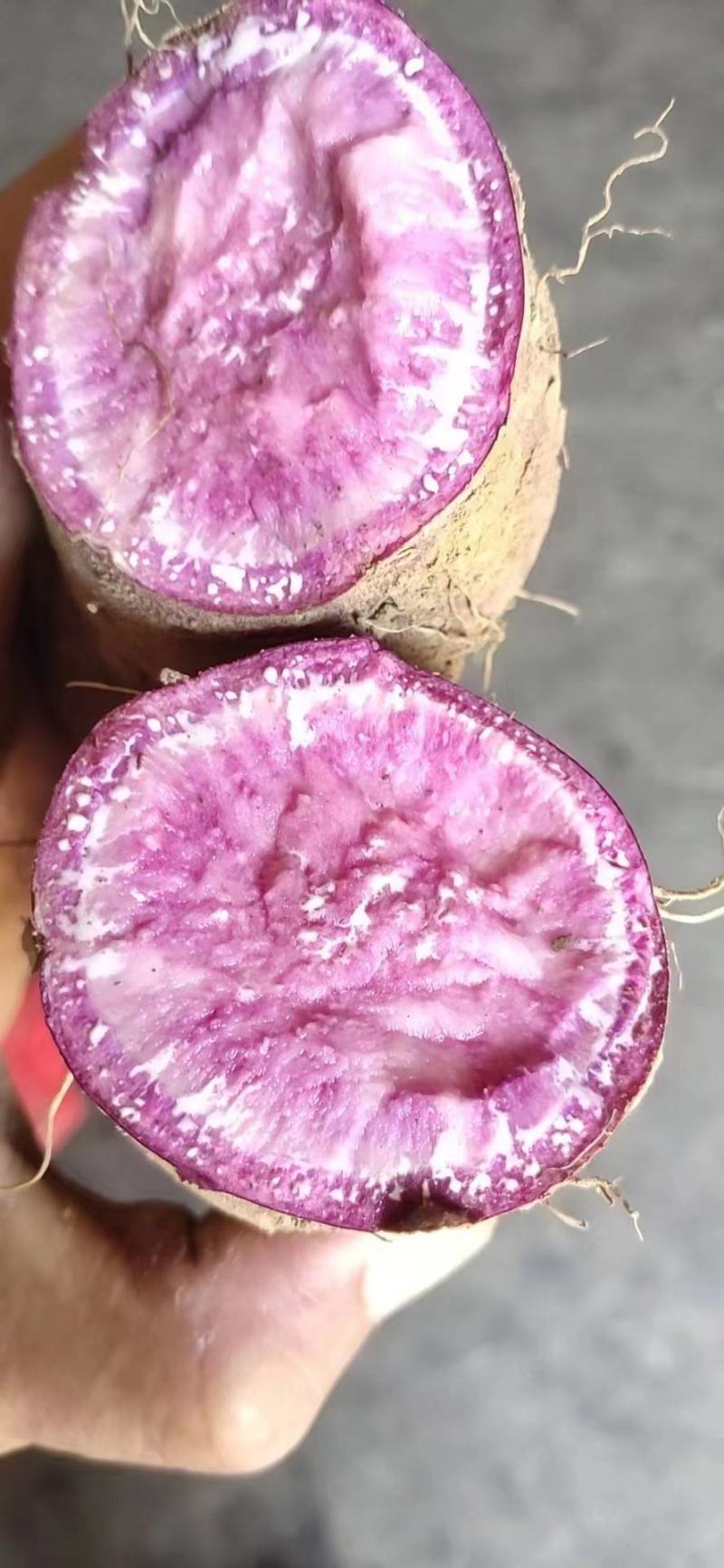008紫薯，湖南货